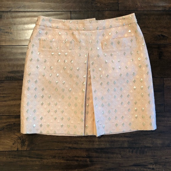 J. Crew Dresses & Skirts - J. Crew Embroidered Skirt